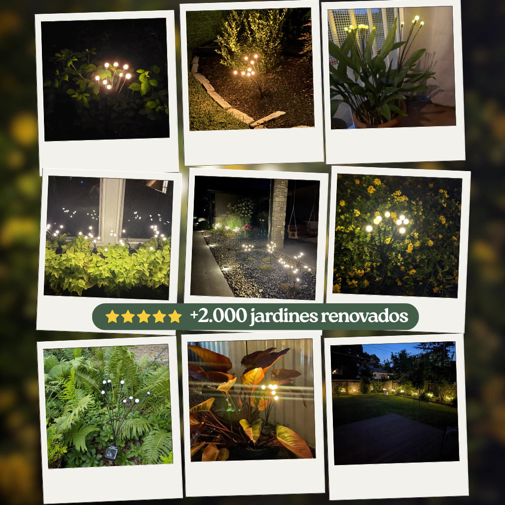 2x1 Ramo de luces solares para jardín + Girnalda solar forma de gota de Regalo